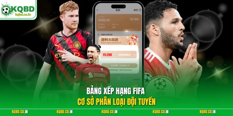 Bảng xếp hạng FIFA - Cơ sở phân loại đội tuyển