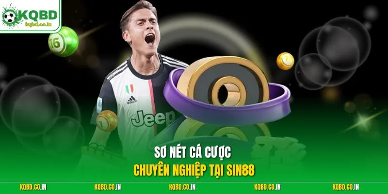 Sơ nét cá cược chuyên nghiệp tại Sin88