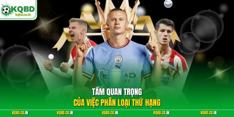 Tầm quan trọng của việc phân loại thứ hạng